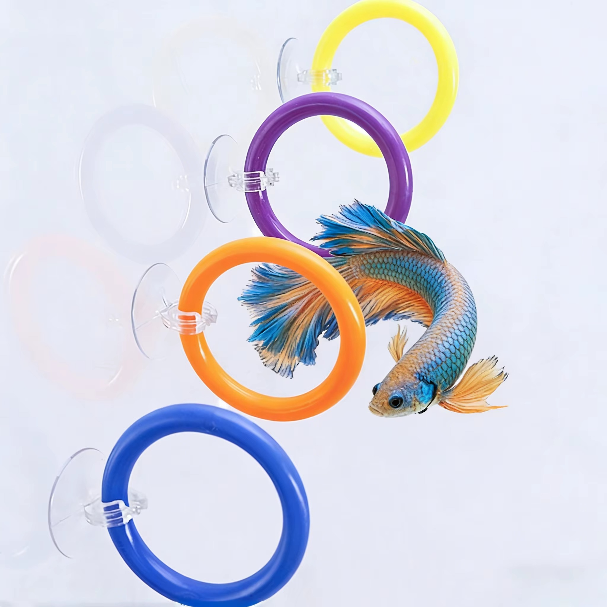 4PC/Set Betta fish training ring set, used for displaying fins, training gill flaring, and multicolor suction cup practice rings
