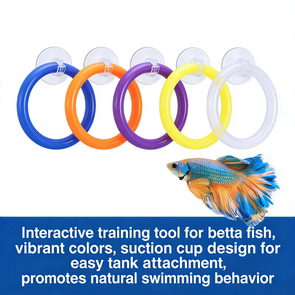 4PC/Set Betta fish training ring set, used for displaying fins, training gill flaring, and multicolor suction cup practice rings