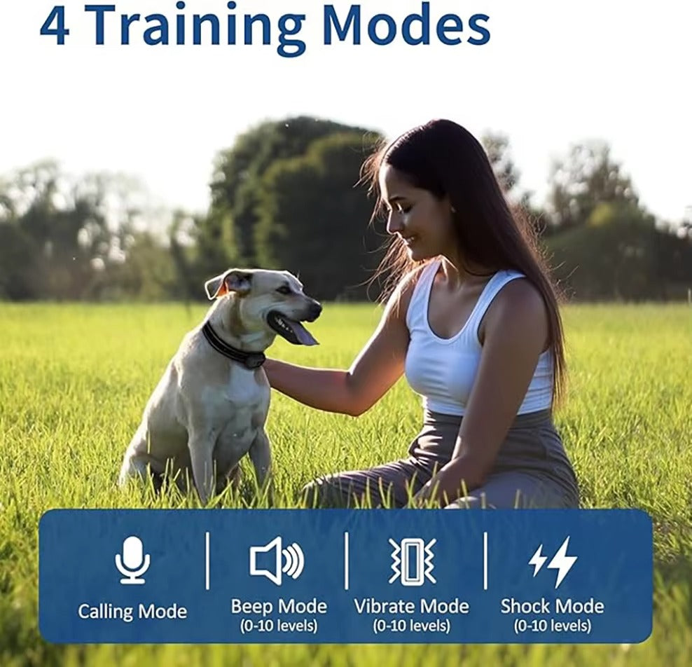 Dog Shock Collar 6500FT Dog Training Collar with Remote Waterproof Electric Collar with 4 Training Modes Rechargeable For Dog