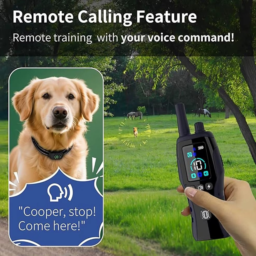 Dog Shock Collar 6500FT Dog Training Collar with Remote Waterproof Electric Collar with 4 Training Modes Rechargeable For Dog