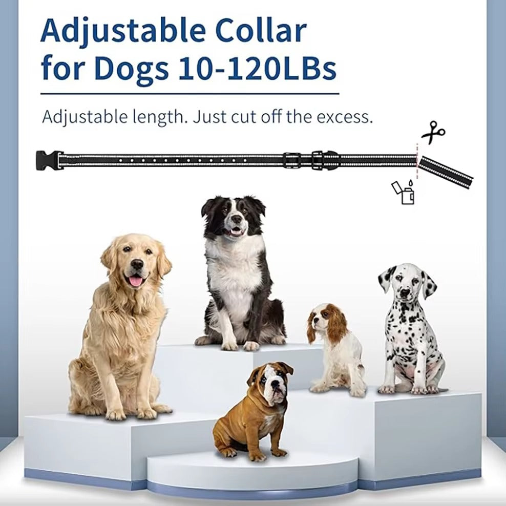 Dog Shock Collar 6500FT Dog Training Collar with Remote Waterproof Electric Collar with 4 Training Modes Rechargeable For Dog